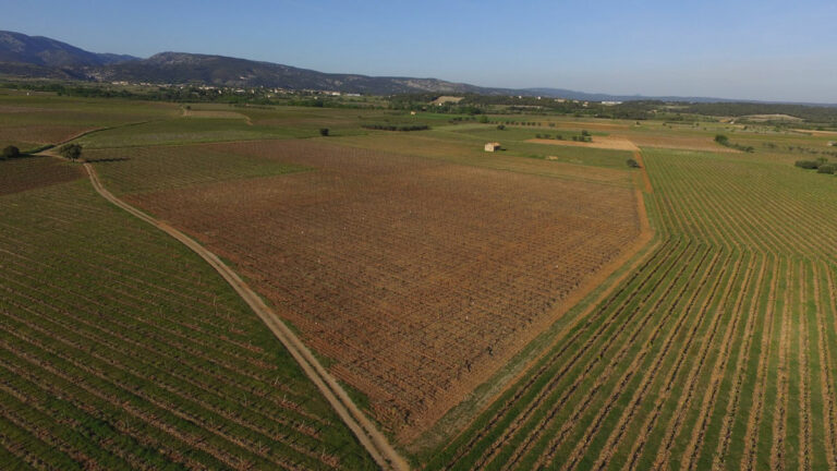 Lire la suite à propos de l’article Clos de la Barthassade | Le Languedoc réinventé