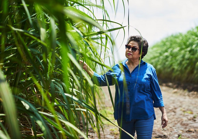 Zacapa | Le rhum élevé au-dessus des nuages iDealwine Lorena Vasquez