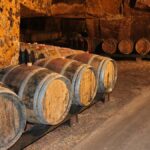 Domaine de La Butte : des cabernets francs au sommet de Bourgueil