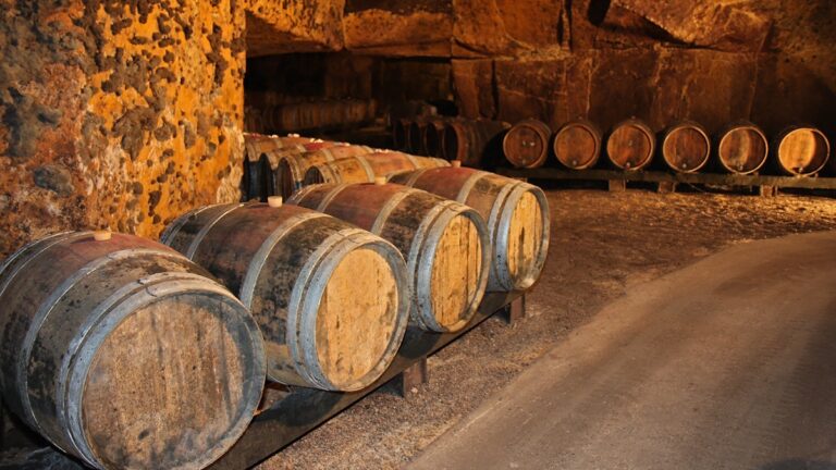 Lire la suite à propos de l’article Domaine de La Butte : des cabernets francs au sommet de Bourgueil