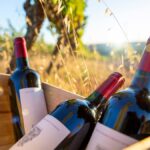 Les beaux bordeaux à moins de 30 euros