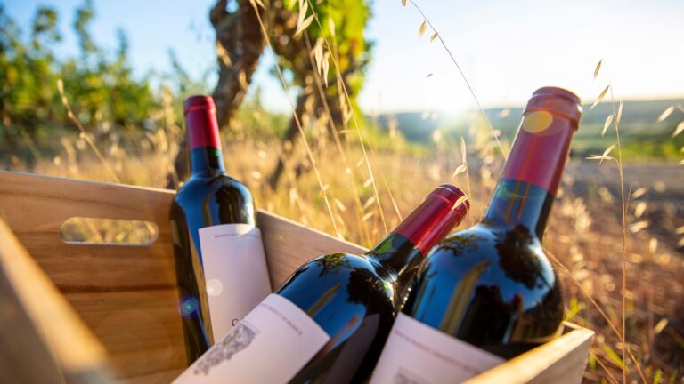 Lire la suite à propos de l’article Les beaux bordeaux à moins de 30 euros