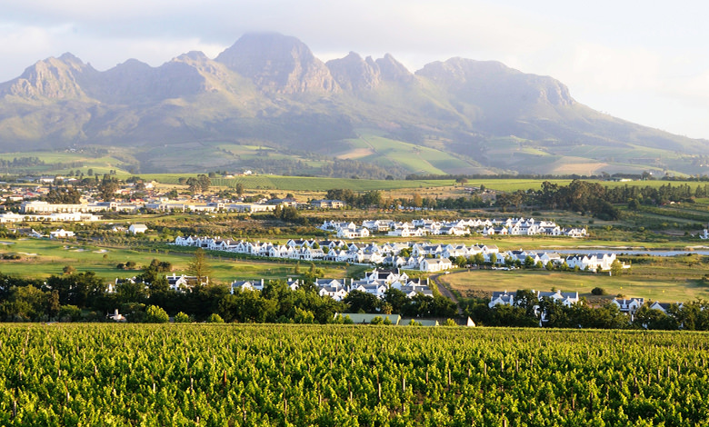 Grands vins du Monde