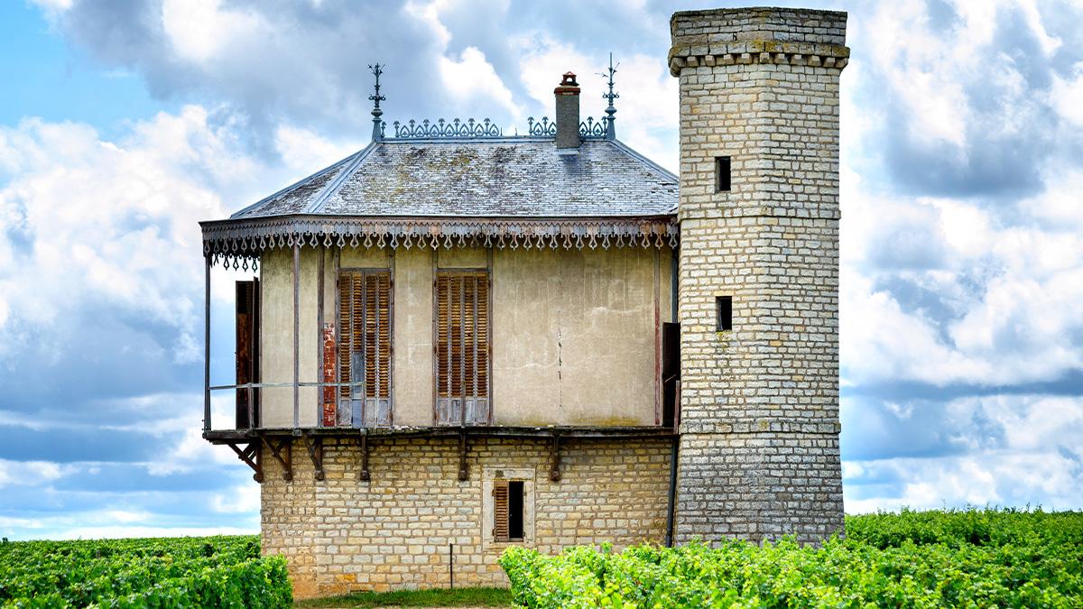 Lire la suite à propos de l’article Château de La Tour | Rencontre entre tradition et innovation