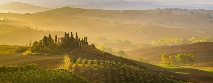 Super toscans la révolution des grands vins en Italie