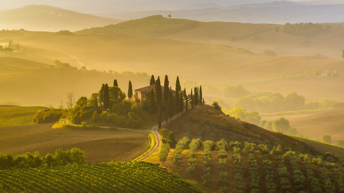 Lire la suite à propos de l’article Super toscans : la révolution des grands vins en Italie