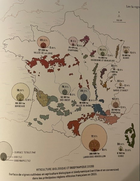 Parution iDealwine Mille vignes, l’indispensable encyclopédie de Pascaline Lepeltier 3