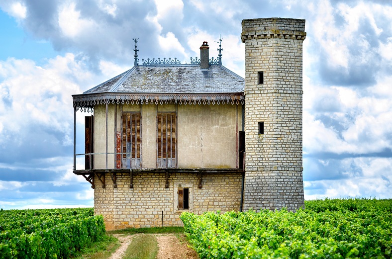 Château de La Tour Clos de Vougeot