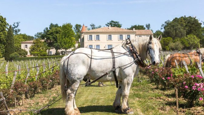 Château Troplong-Mondot