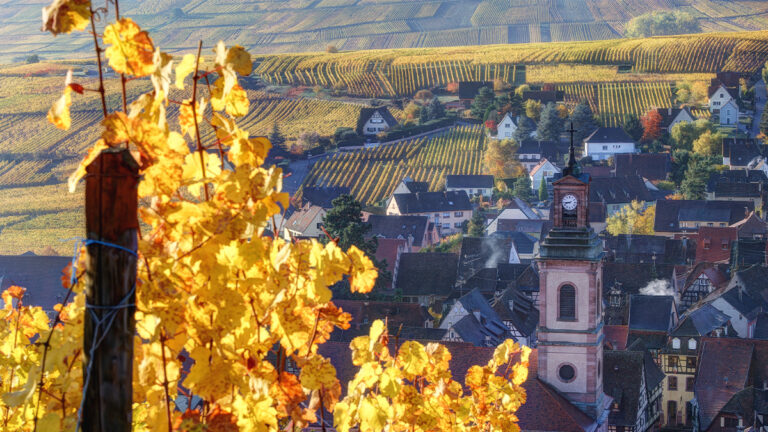 Lire la suite à propos de l’article Escapade en Alsace (2/2)