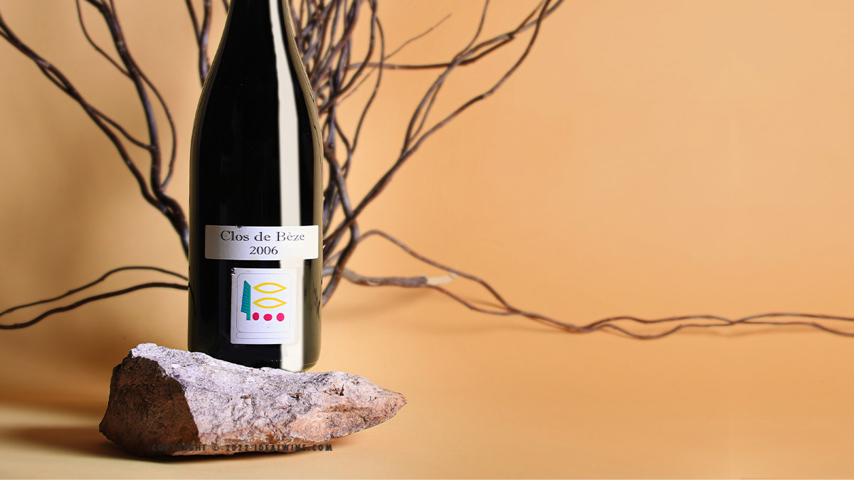 Lire la suite à propos de l’article Nouvelles enchères : élixirs de Bourgogne et collection du domaine Leroy