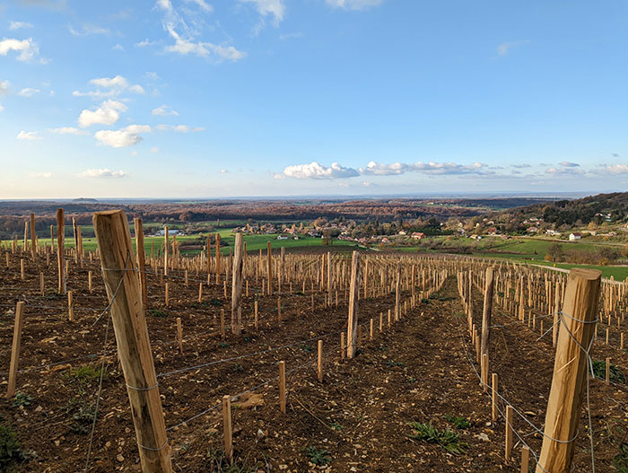 Visite jurassienne 2022 : à la rencontre du rare et délicieux millésime 2021 – vignes