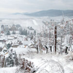 Jura, Savoie, de véritables secrets d’amateurs