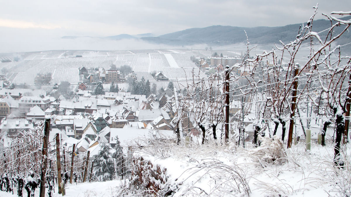 Lire la suite à propos de l’article Jura, Savoie, de véritables secrets d’amateurs