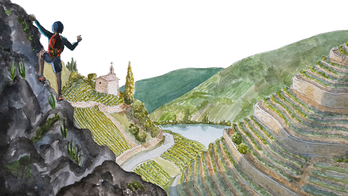 Lire la suite à propos de l’article La Vallée du Rhône septentrionale et ses coteaux escarpés