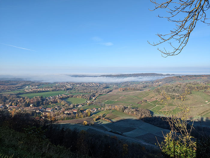 Visite Jura vignoble iDealwine