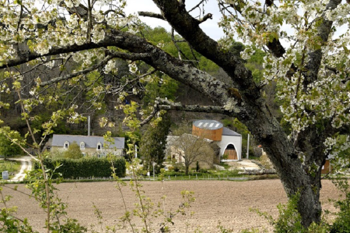 Domaine de Bellivière Jasnières