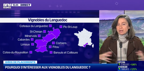 Languedoc-Roussillon des vins pour le placement Angelique de Lencquesaing iDealwine BFM Business 1