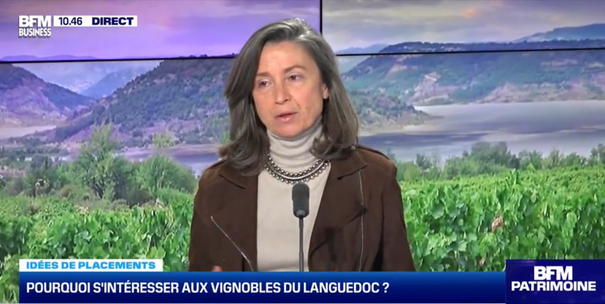 Languedoc-Roussillon des vins pour le placement Angelique de Lencquesaing iDealwine BFM Business 3