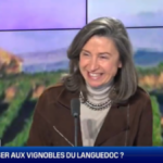 Interview BFM | Languedoc-Roussillon : des vins pour le placement ?