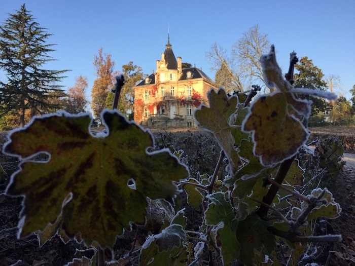 Château Les Carmes Haut-Brion