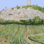 Vallée du Rhône méridionale : Châteauneuf et AOC montantes