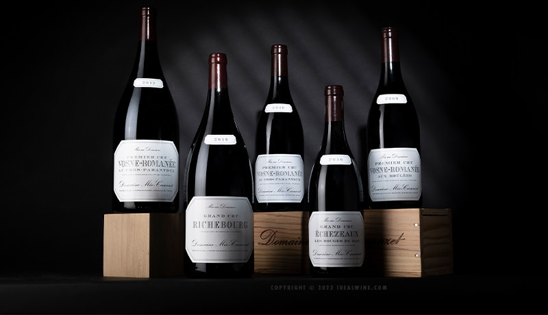 Vente en provenance directe du Domaine Méo-Camuzet : le mythe bourguignon