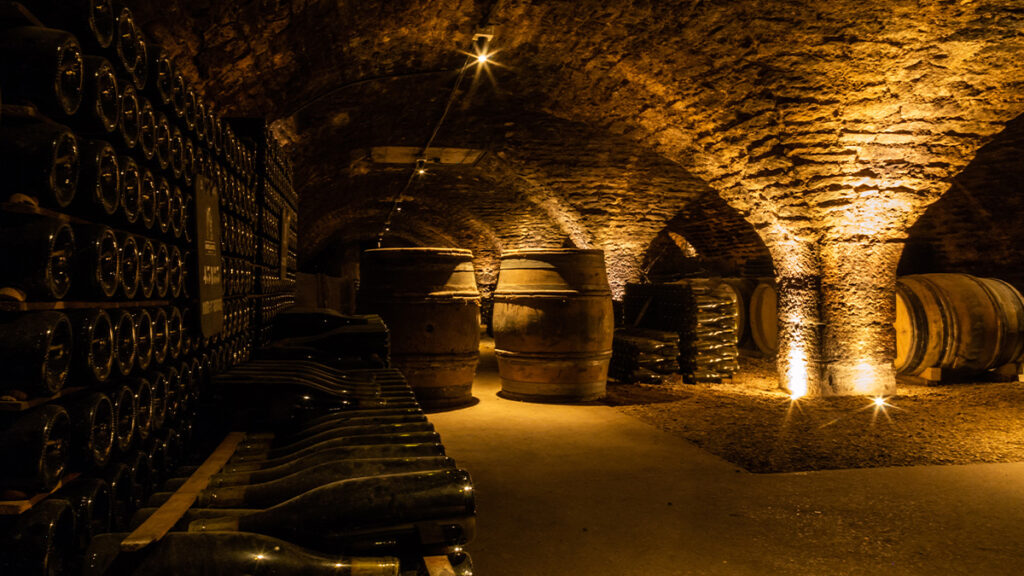 Quels grands vins avoir dans sa cave ? Conseils iDealwine