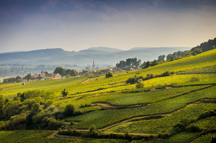 visites bourgogne iDealwine