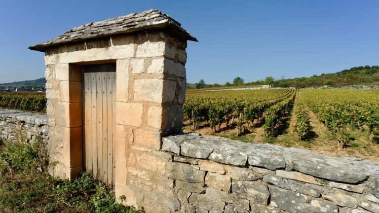 Lire la suite à propos de l’article Hausse record pour les vins de Bourgogne à l’export