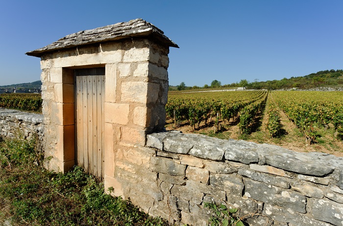 record bourgogne export