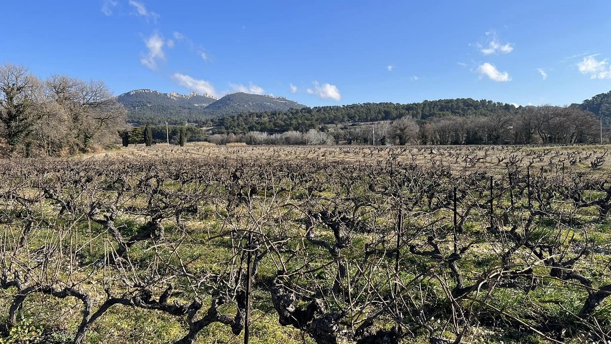 Lire la suite à propos de l’article Le Sang des Cailloux | Conversation avec Frédéri Férigoule