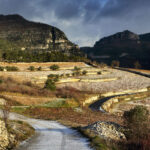 Le Pas de L’Escalette : la biodynamie au pied du plateau du Larzac