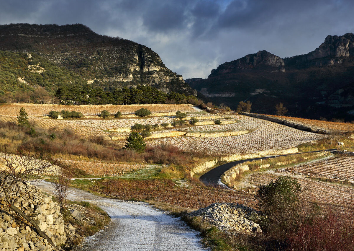 Lire la suite à propos de l’article Le Pas de L’Escalette : la biodynamie au pied du plateau du Larzac