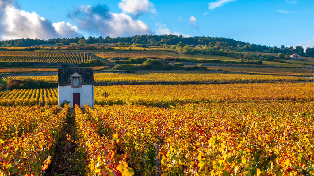 Beaune AOC