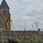 Château de Béru | Chablis historique et biodynamique