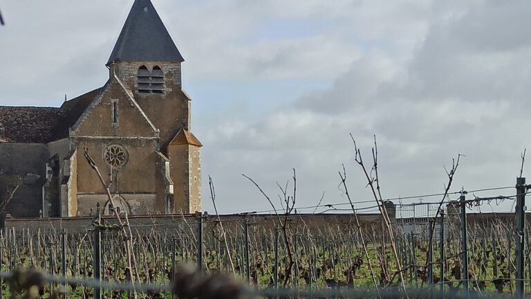 Lire la suite à propos de l’article <strong>Deux jours en Bourgogne : visites du Vézelien et Chablisien</strong>