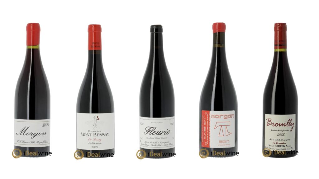 beaujolais vin