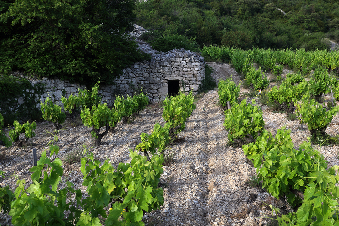 Pas de l'Escalette biodynamie iDealwine vignes