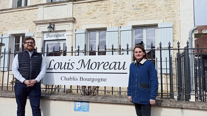 Louis Moreau chablis