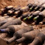 Cessons de boire nos vins trop jeunes | Ode aux vins matures