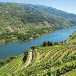 Tout savoir sur le Porto