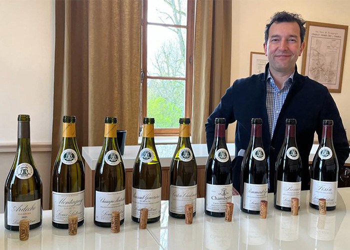 Maison Louis Latour Bourgogne vin iDealwine dégustation Vins Louis Latour