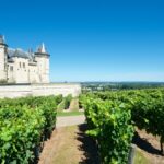 Vins de Loire | Appellations et terroirs