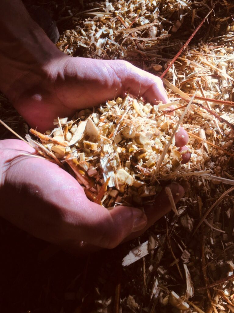 Viticulture durable à quoi servent les tisanes biodynamiques ? iDealwine 3