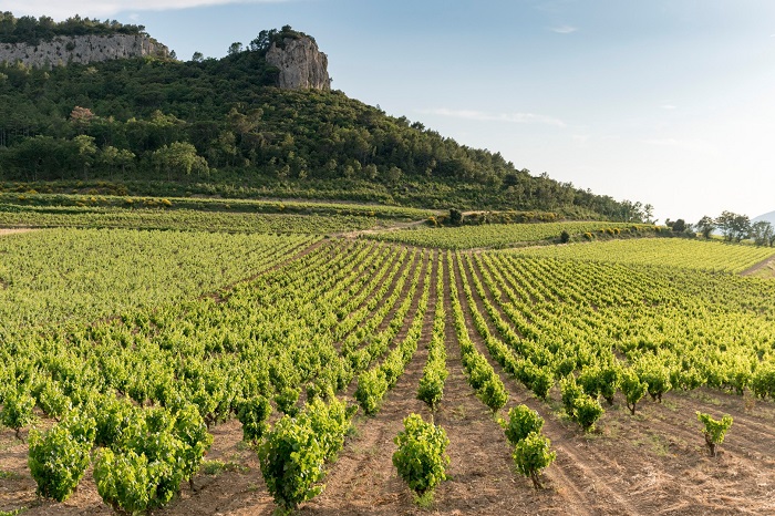 Château de Roquefort Provence