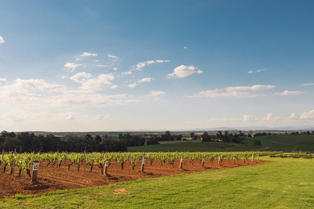 Tyrrell’s Hunter Valley argiles rouges