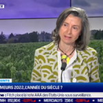 <strong>Interview BFM | Primeurs de Bordeaux : 2022, l’année du siècle ?</strong>