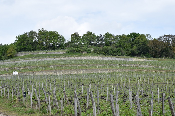 Primeurs 2022 St Emilion