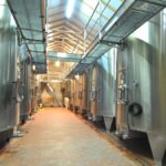 Les chiffres du vin en 2022 : production, export, consommation…
